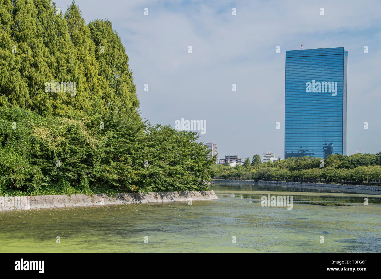 L'acqua intorno al Castello di Osaka in Giappone 2016 Foto Stock