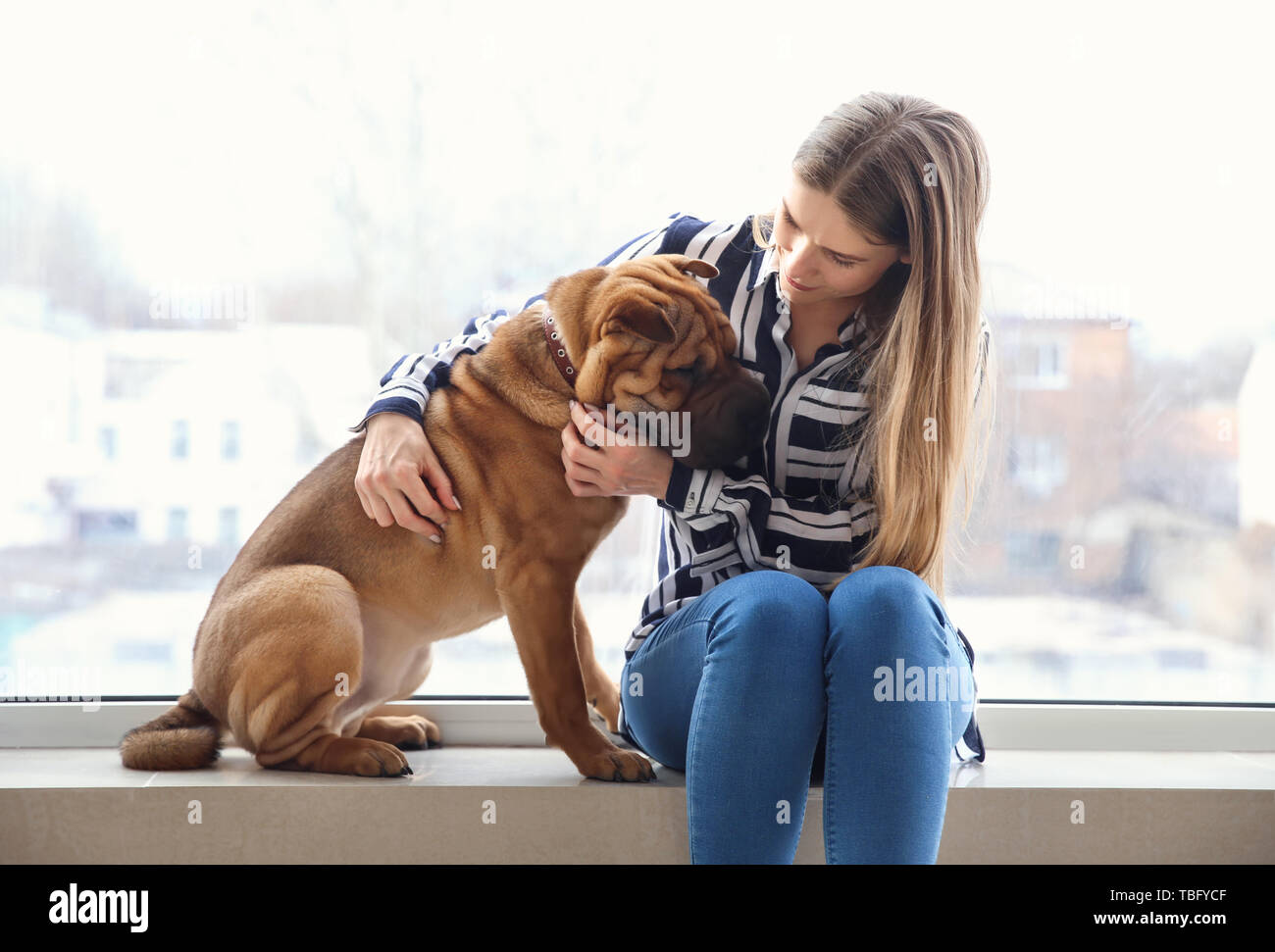 Carino divertente cane con proprietario vicino a finestra Foto Stock