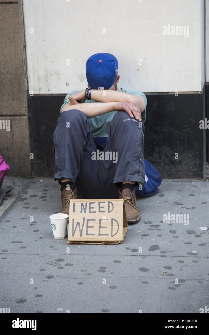 Giovane chiede per "weed', marijuana, seduto sulla strada a midtown Manhattan, New Yoprk città. Foto Stock