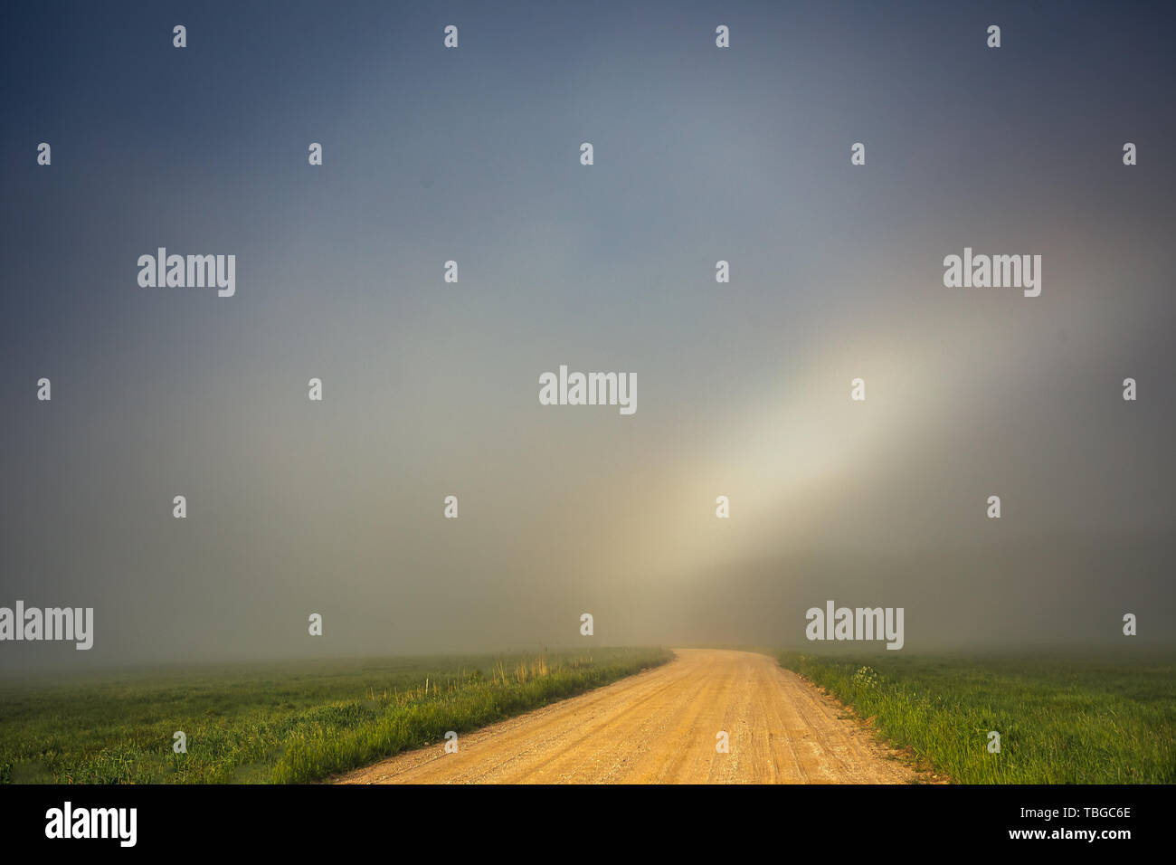 Rare White Rainbow Fogbow in prossimità del percorso Foto Stock