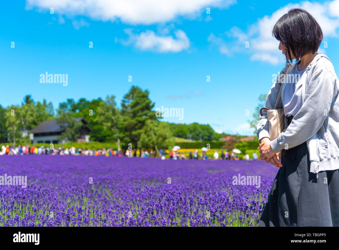 Tourist godendo il giubbotto viola Lavanda fiori di campo estivo in giornata soleggiata a Farm Tomita, furano, Hokkaido, Giappone Foto Stock