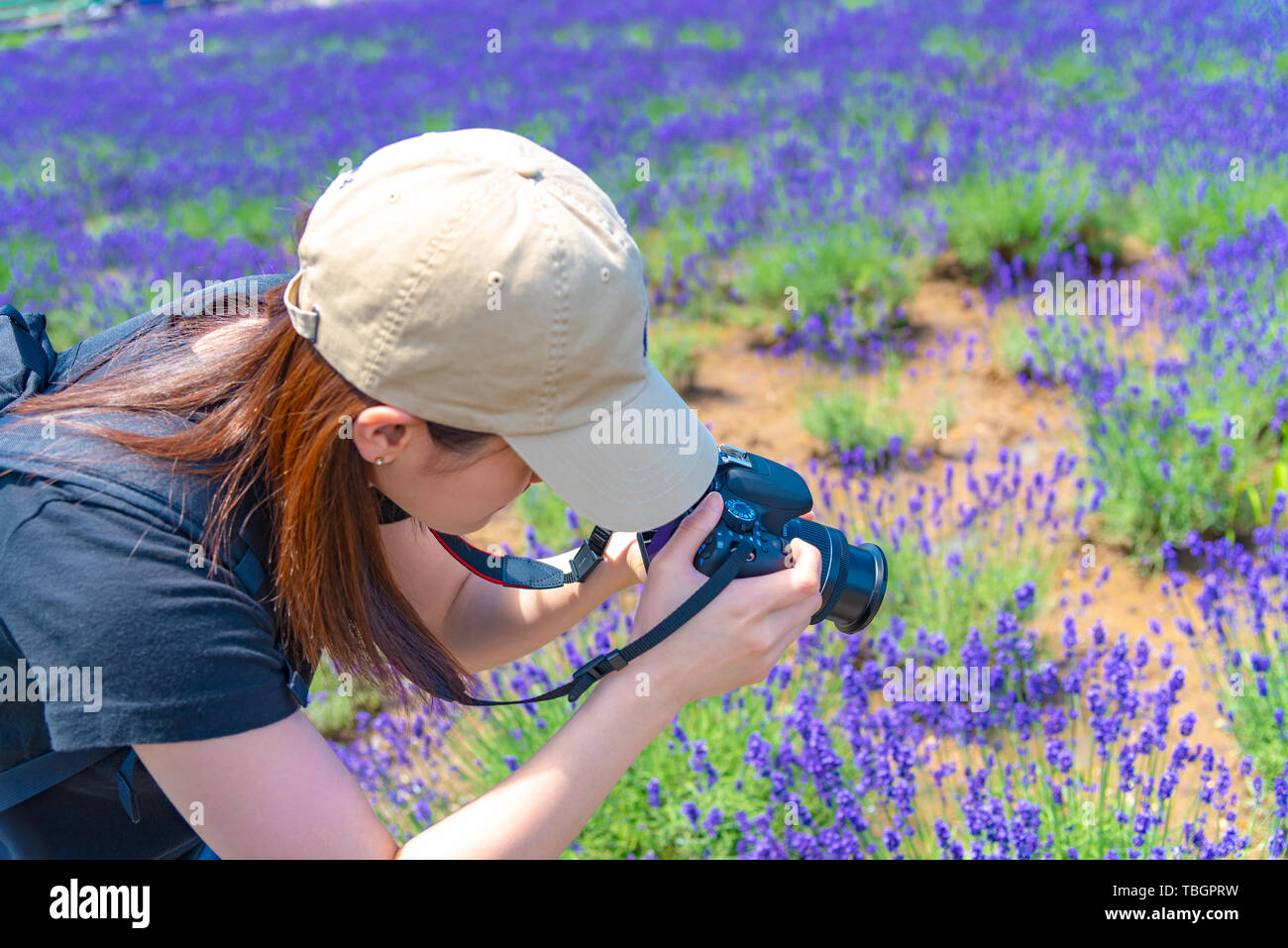 Giovane ragazza giapponese in possesso di una fotocamera digitale e prendendo la foto in un campo di lavanda in estate giornata soleggiata a Farm Tomita, furano, Hokkaido, Giappone Foto Stock