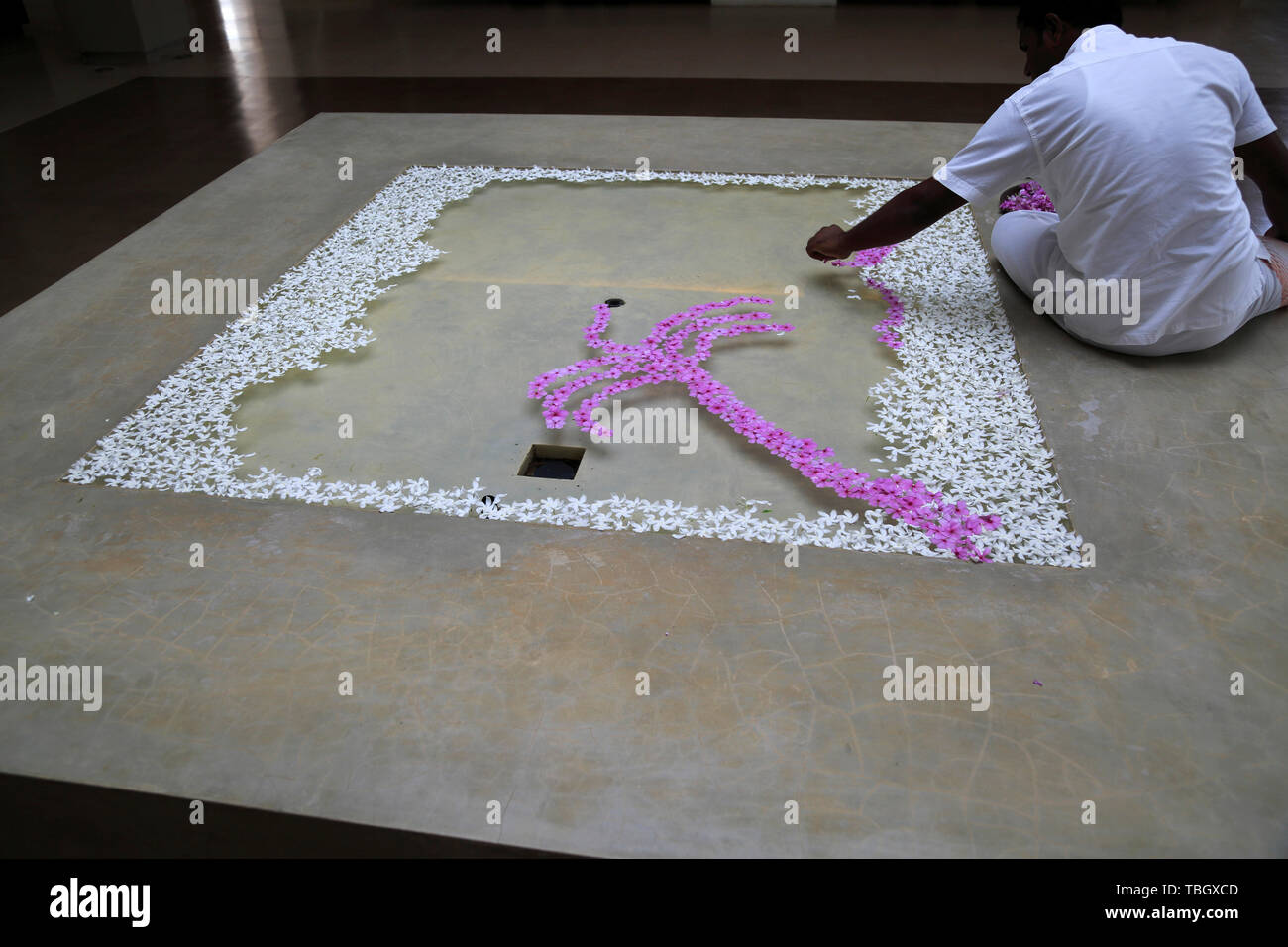 Il Frangipani petalo picture in waterAmaya Beach Resort and Spa hotel, Pasikudah Bay, Provincia Orientale, Sri Lanka, Asia Foto Stock