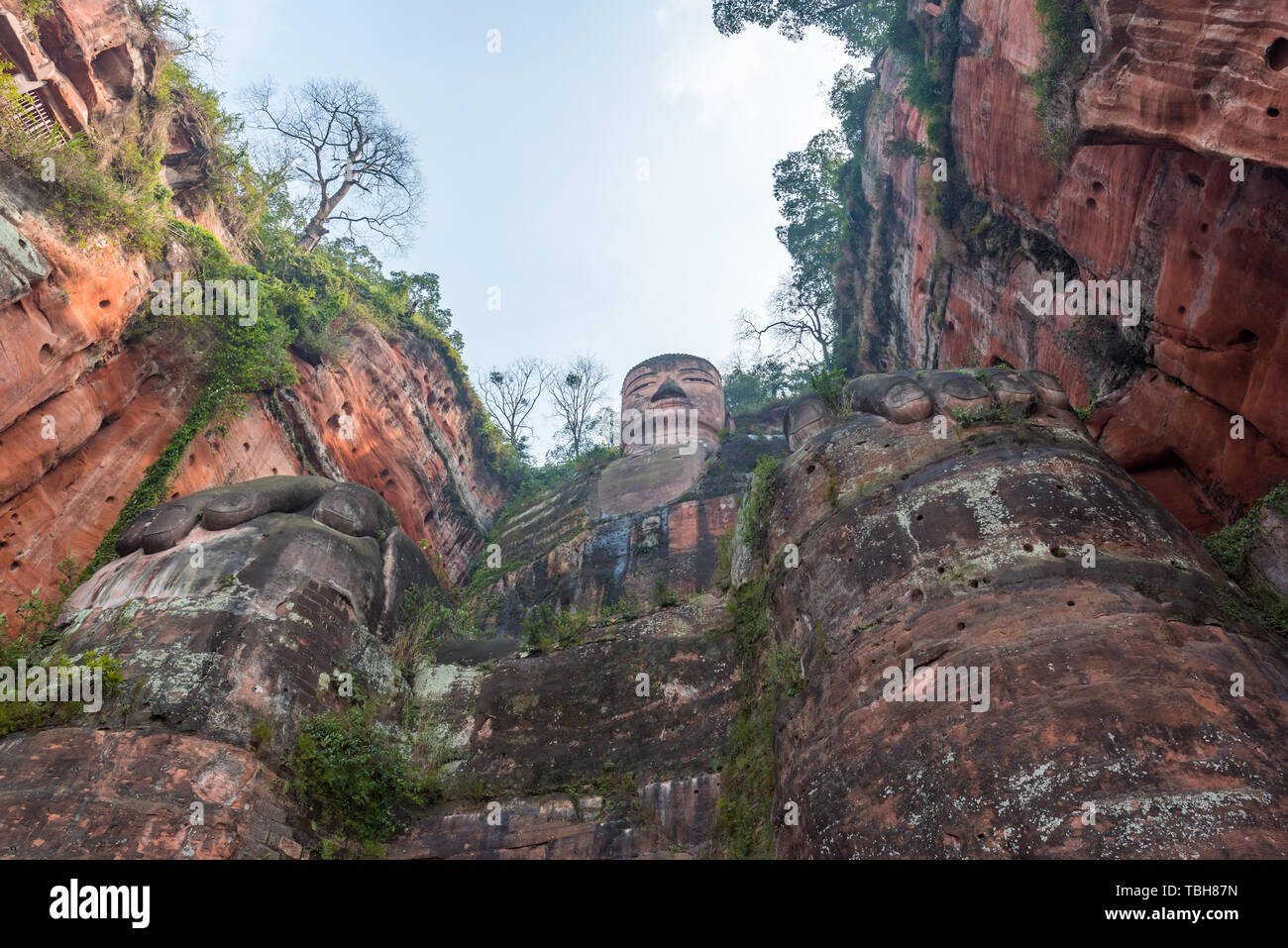 Statua del Grande Buddha di Leshan, Sichuan Foto Stock