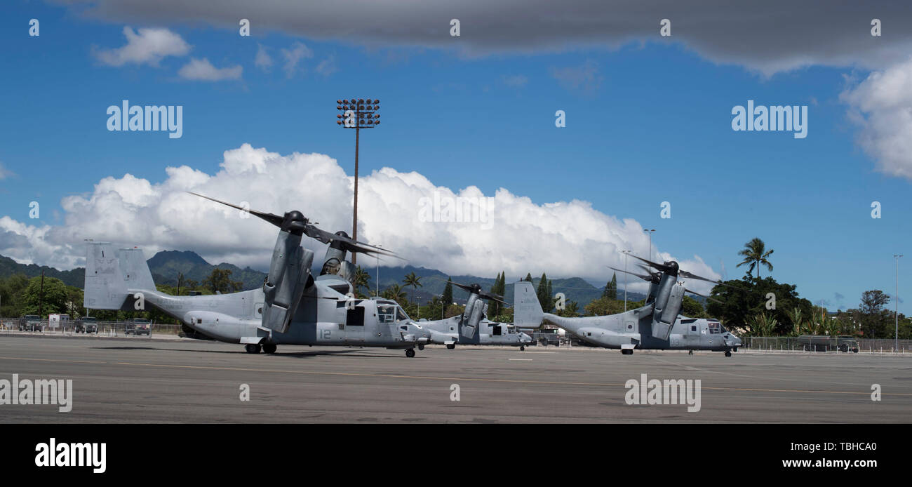 Tre MV-22 Asprì assegnato al mezzo squadrone Tiltrotor, terzo aeromobile marino ala, da Marine Corps Air Station Miramar, California, hanno partecipato a una marcia di avanzamento esercizio operativo su base comune Harbor-Hickam perla, Hawaii, 12 maggio 2019. Aviosuperficie di Hickam supportato NEGLI STATI UNITI Marine Corps attività di formazione per migliorare le capacità di combattimento in tutto l'Indo-Pacifico regione. (U.S. Air Force foto di Tech. Sgt. Heather Redman) Foto Stock