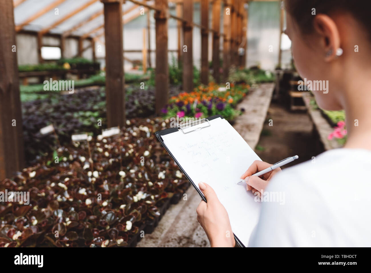 Donna professionale giardiniere lavora in serra. Fioraio interno serra giardino interno Foto Stock