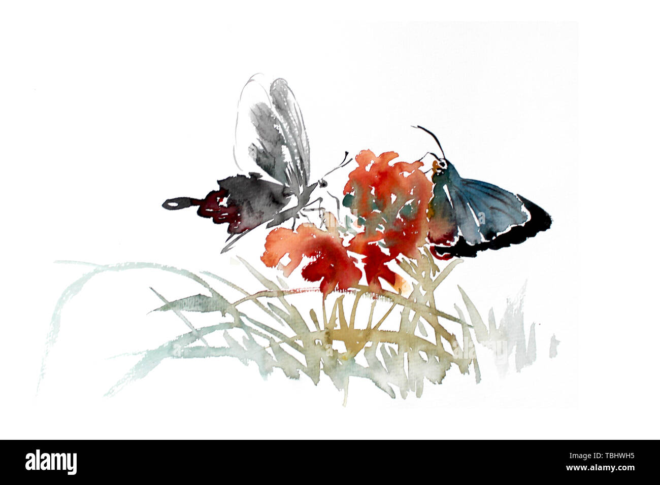 Piante e fiori farfalla floreali decorazione disegnati a mano natura disegnati a mano fiore farfalla con fiori Foto Stock