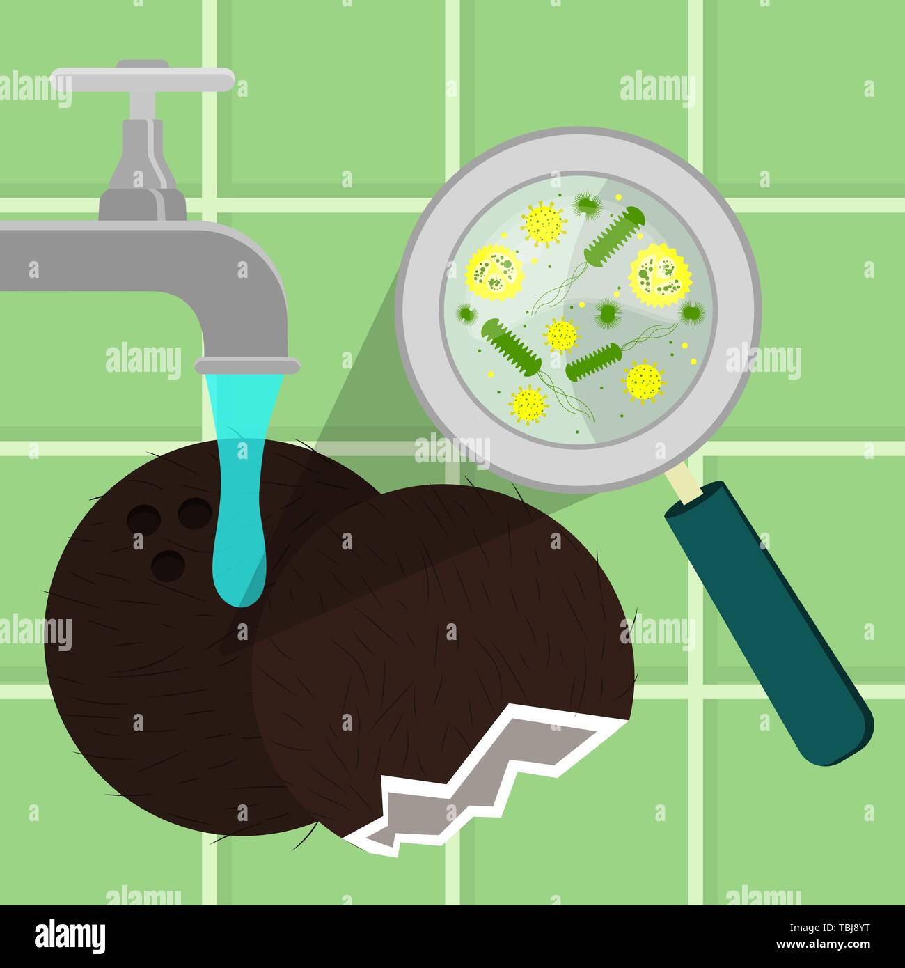 Contaminati e noce di cocco in corso di pulizia pulito e lavato in una cucina. Microrganismi, virus e batteri ingrandita di una lente di ingrandimento. Piastrelle in Illustrazione Vettoriale