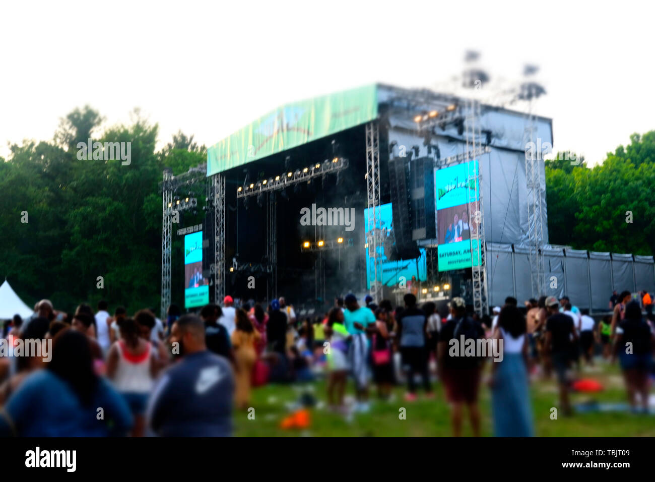 Philadelphia, PA, Stati Uniti d'America. Il 1 giugno, 2019. Il pubblico assiste il dodicesimo radici annuale picnic con ospite speciale artista di registrazione/attore Yasiin Bey e altri il 1 giugno 2019 presso il Fairmont Park di Philadelphia, PA. Credito: Mpi43/media/punzone Alamy Live News Foto Stock