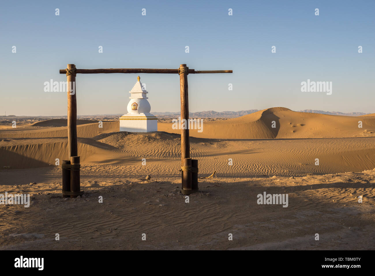 Il paesaggio del deserto Foto Stock