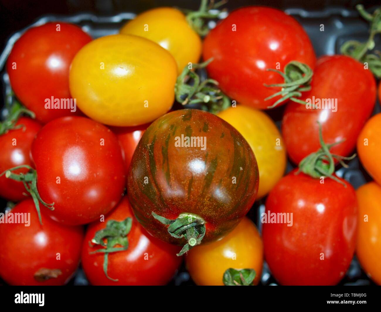 Snack colorati i pomodori in rosso e giallo Foto Stock