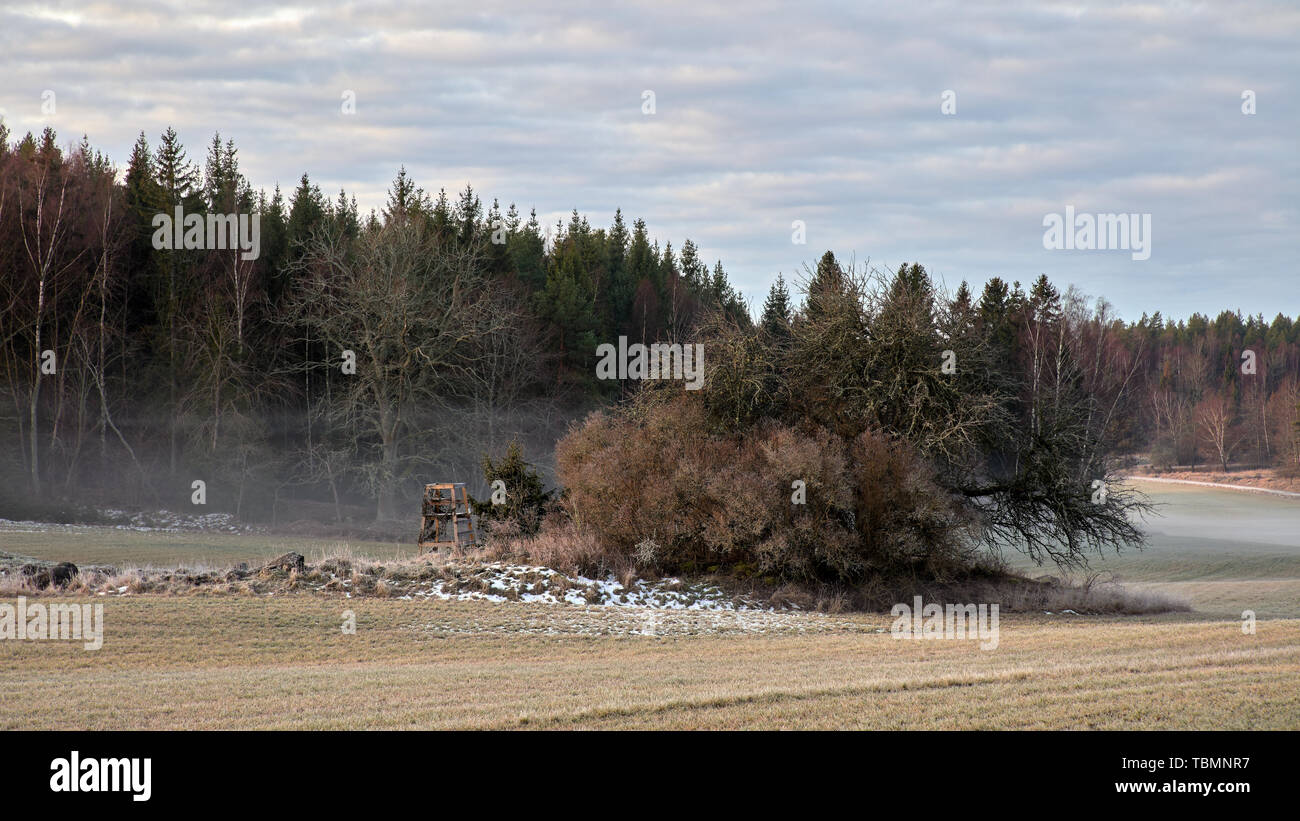 Prato Långvreta a Bogesundslandet, vicino a Frösvik, vicino a Vaxholm, Svezia Foto Stock