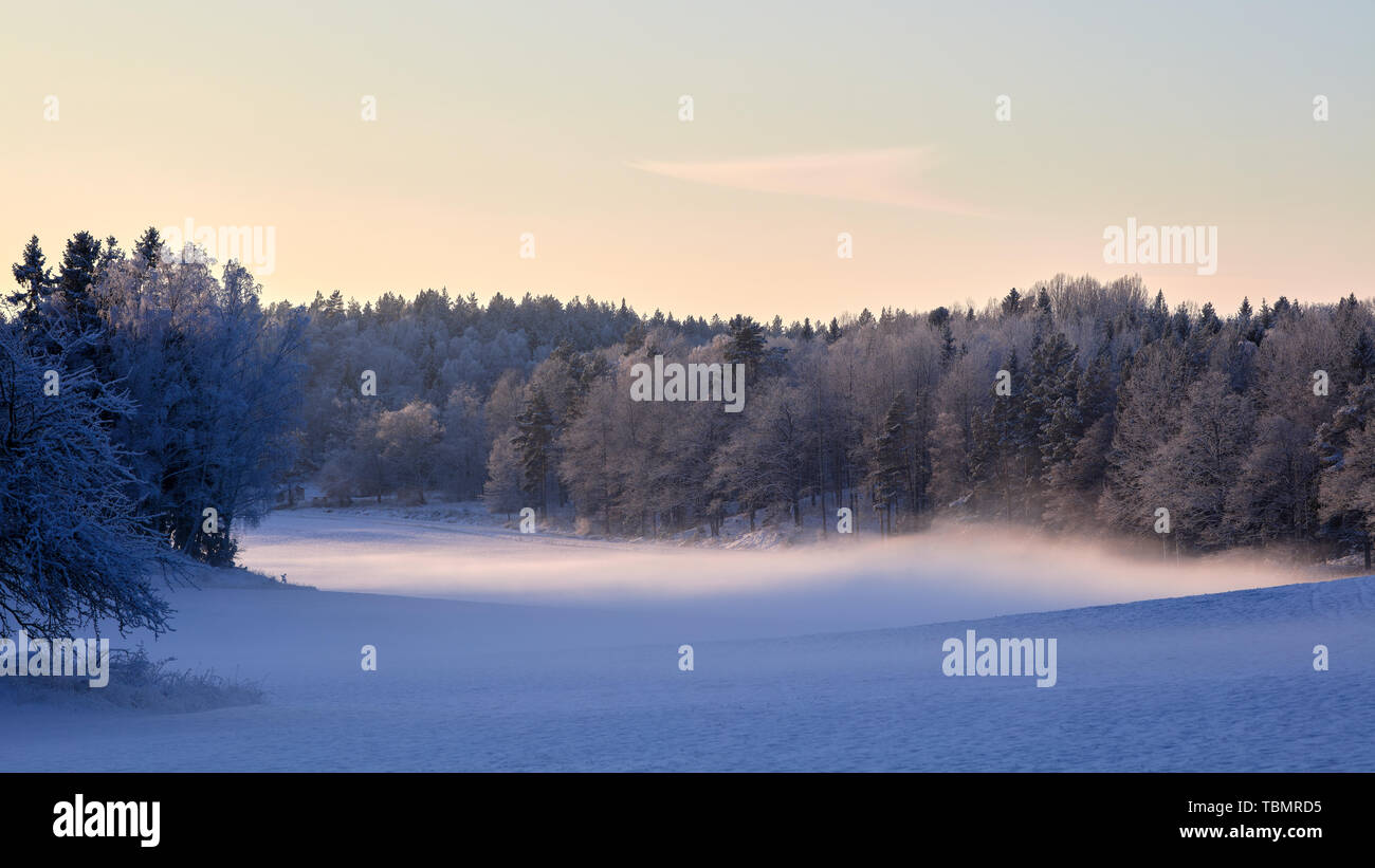Långvreta in inverno, vicino a Frösvik, Vaxholm, Svezia Foto Stock