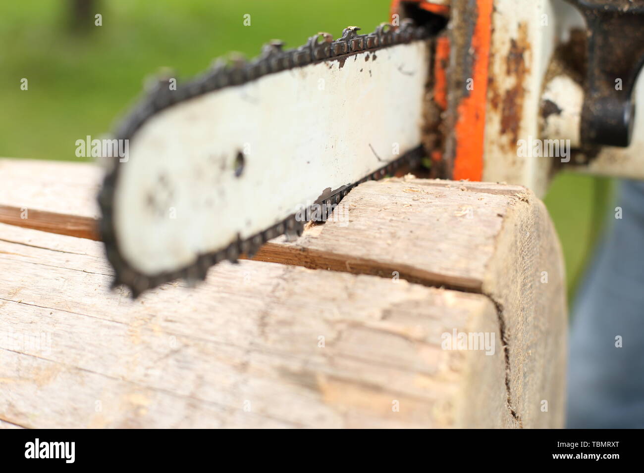 Un Close-up di una lama per sega da una sega a nastro Foto Stock