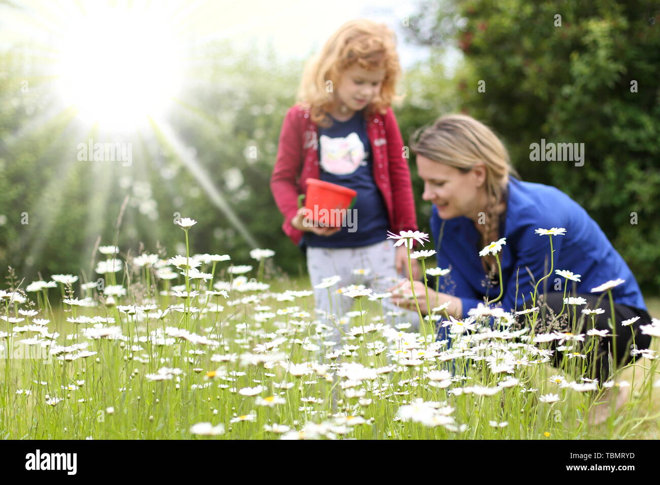Un prato di fiori nella parte anteriore di una madre con la figlia erede Foto Stock