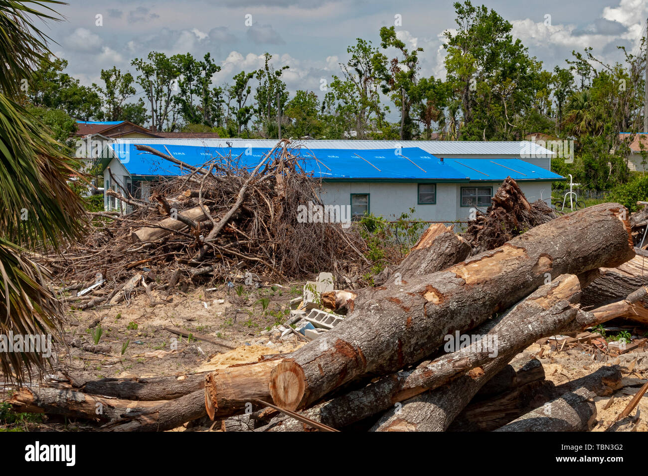Panama City, Florida - Distruzione da uragano Michael è diffusa sette mesi dopo la categoria 5 tempesta ha colpito la Florida Panhandle. Un blu FEMA Foto Stock