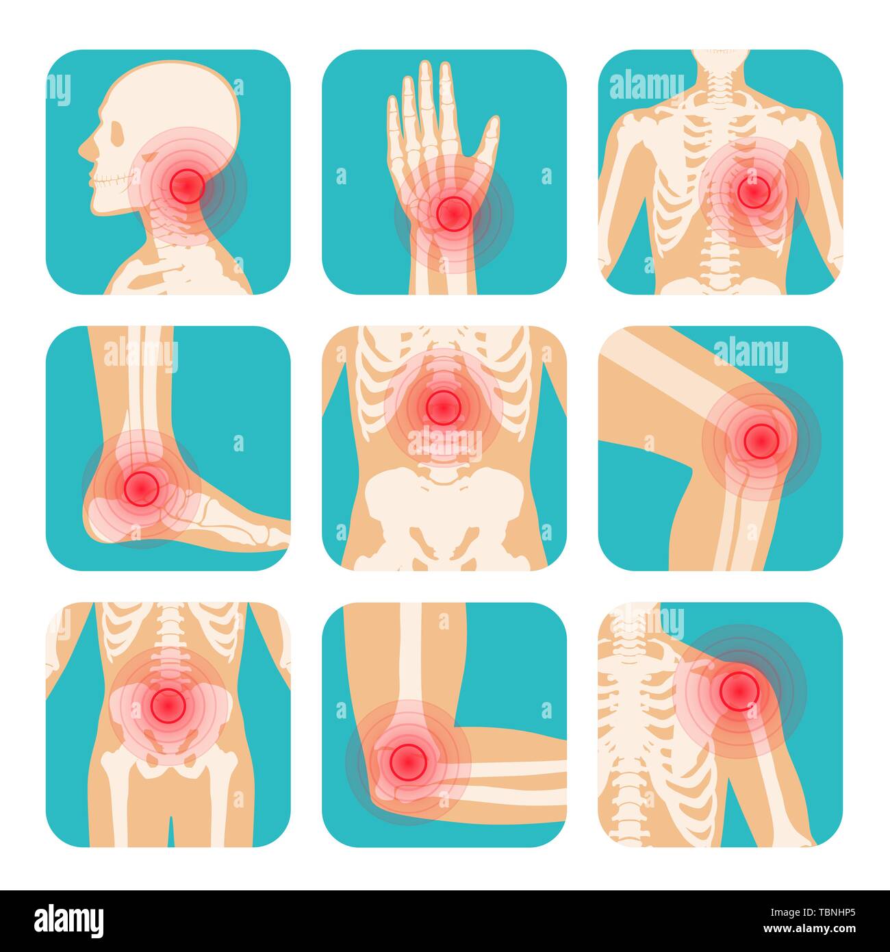 Set di cerchio rosso la localizzazione del dolore, il corpo umano scheletro, le articolazioni e le ossa Illustrazione Vettoriale