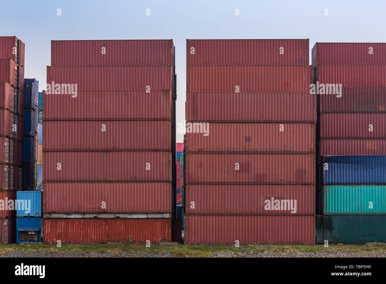 Contenitori di carico merci pila presso il molo docks porto in attesa del mare internazionale il trasporto merci nel porto di Rotterdam di Paesi Bassi Foto Stock