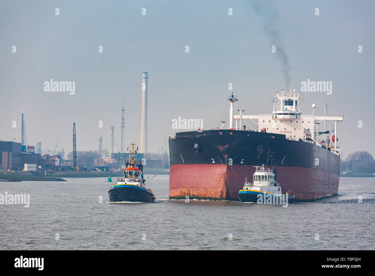 Grandi contenitori di carico barca con merci cargo pila presso il molo docks porto in attesa del mare internazionale il trasporto merci nel porto di Rotterdam delle Antille Foto Stock