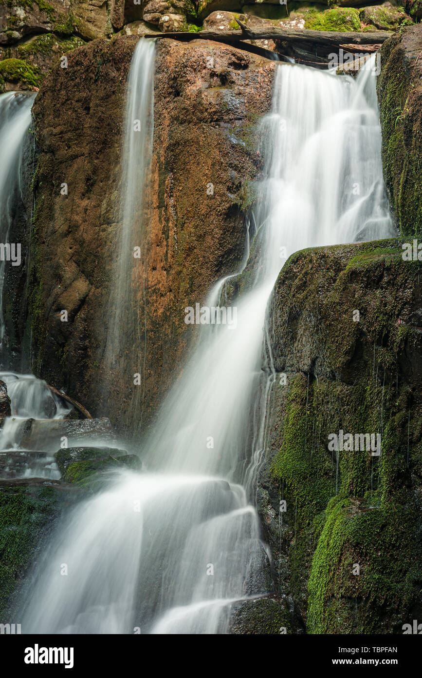 Mossy massi della cascata. estate natura dello sfondo. Foto Stock