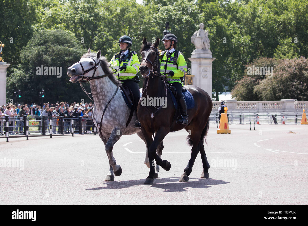 Londra, Regno Unito. Il 3 giugno, 2019. Presidente Trump e sua moglie Melania arriva a Buckingham Palace in elicottero, Marina Uno, sono stati accolti dal principe Carlo allora la regina all inizio del suo ufficiale visita di Stato in Gran Bretagna. Una pistola 41 salute è stata anche effettuata in suo onore. Credito: Keith Larby/Alamy Live News Foto Stock