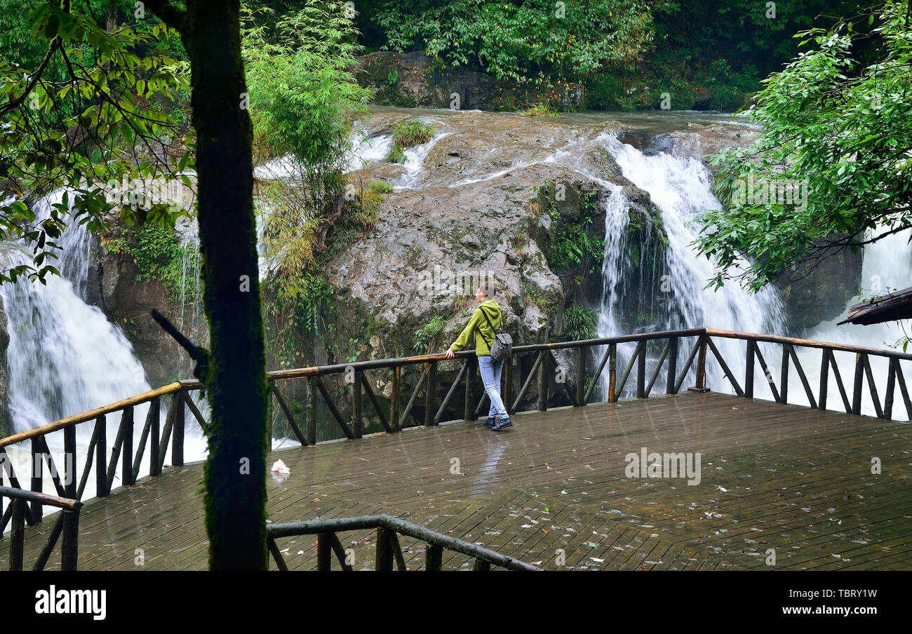 Un viaggiatore nella foresta accanto alla cascata Foto Stock