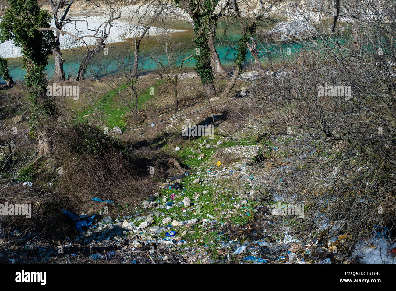 Discarica di rifiuti nei boschi Foto Stock