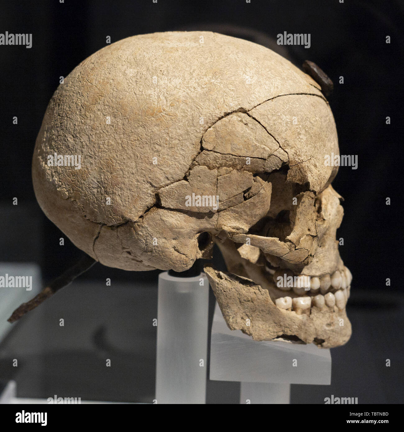 Mostra 'Severed teste. Simboli del potere" presso il Museo Archeologico Nazionale di Madrid in Spagna con: atmosfera dove: Madrid, Spagna Quando: 03 maggio 2019 Credit: Oscar Gonzalez/WENN.com Foto Stock