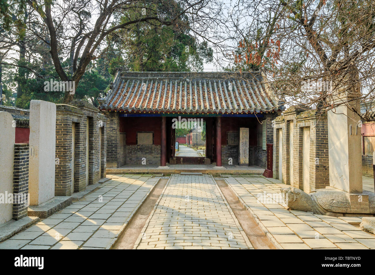 Foresta di stele in Ramadan Gate di Mencius, Mencius tempio, Zoucheng Città, Provincia di Shandong Foto Stock
