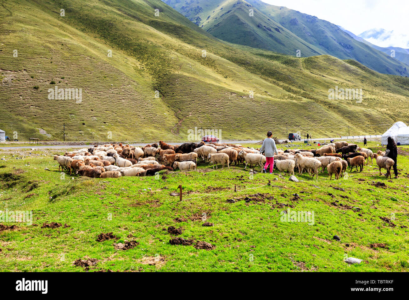 Paesaggio con montagne e all'esterno. Nessuno ha la natura. Tour Foto Stock