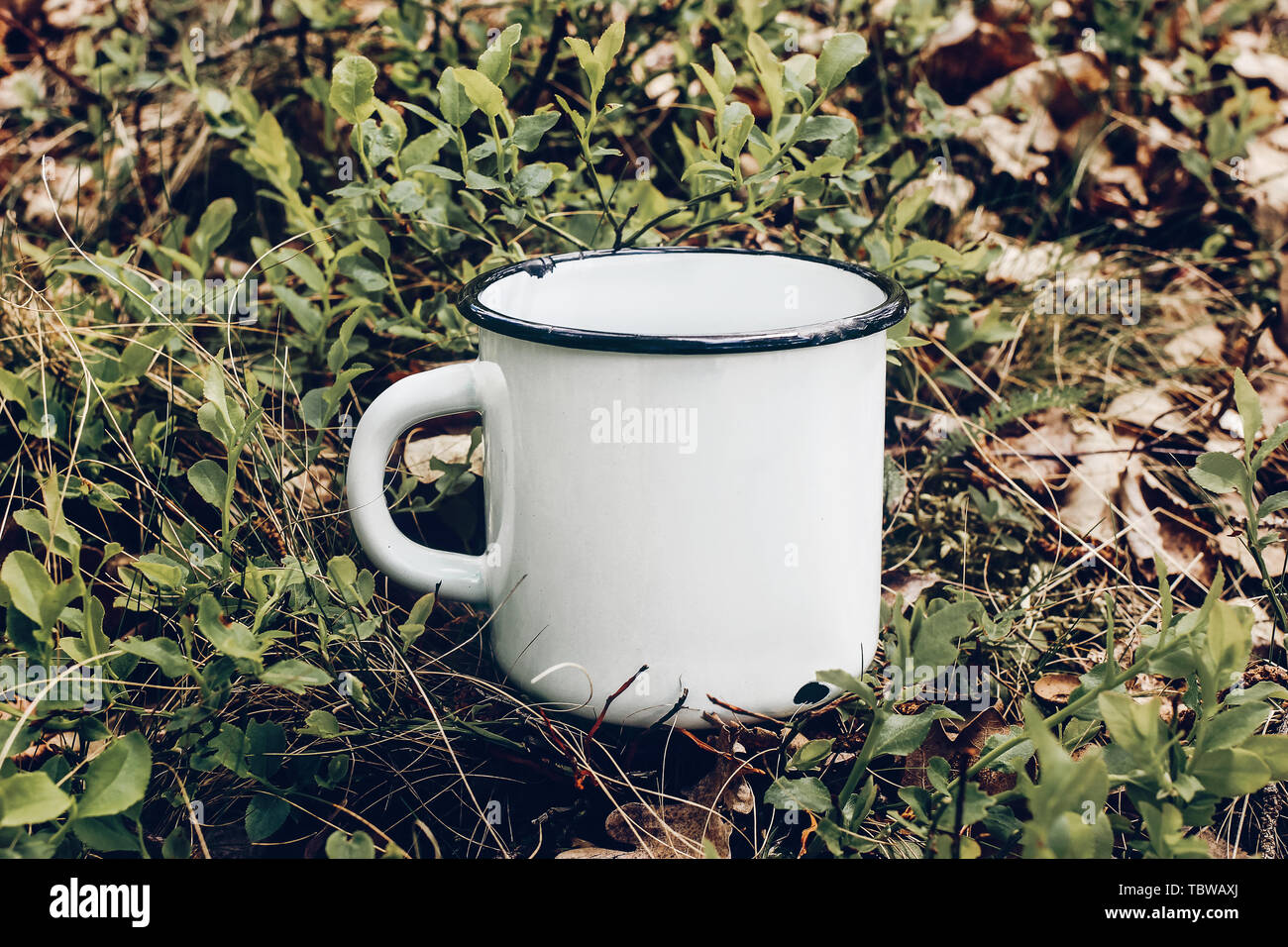 In prossimità della tazza di metallo sul terreno forestale tra cespugli di mirtilli e foglie di quercia. Outdoor tè, caffè tempo. Mockup di smalto bianco cup, lifestyle relax, t Foto Stock