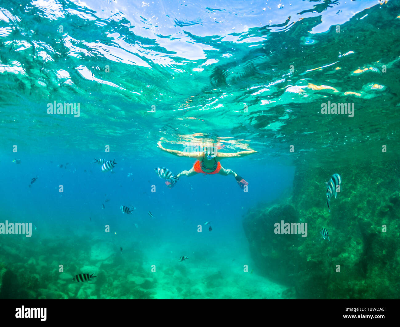 Apnea femminile in bikini a Felicite nei pressi di La Digue, Seychelles, Oceano Indiano. Pesce e sealife sullo sfondo. Attività di sport acquatici. La donna lo snorkeling in Foto Stock