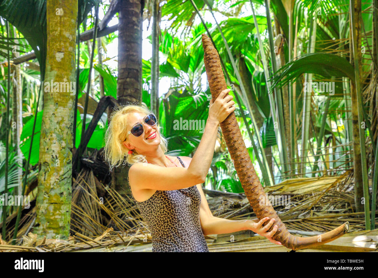 Il Coco de Mer maschile di frutta a Vallee de Mai Riserva Naturale di Praslin, Seicelle. Funny donna turistico con un maschio Lodoicea Maldivica dado, il palm con Foto Stock