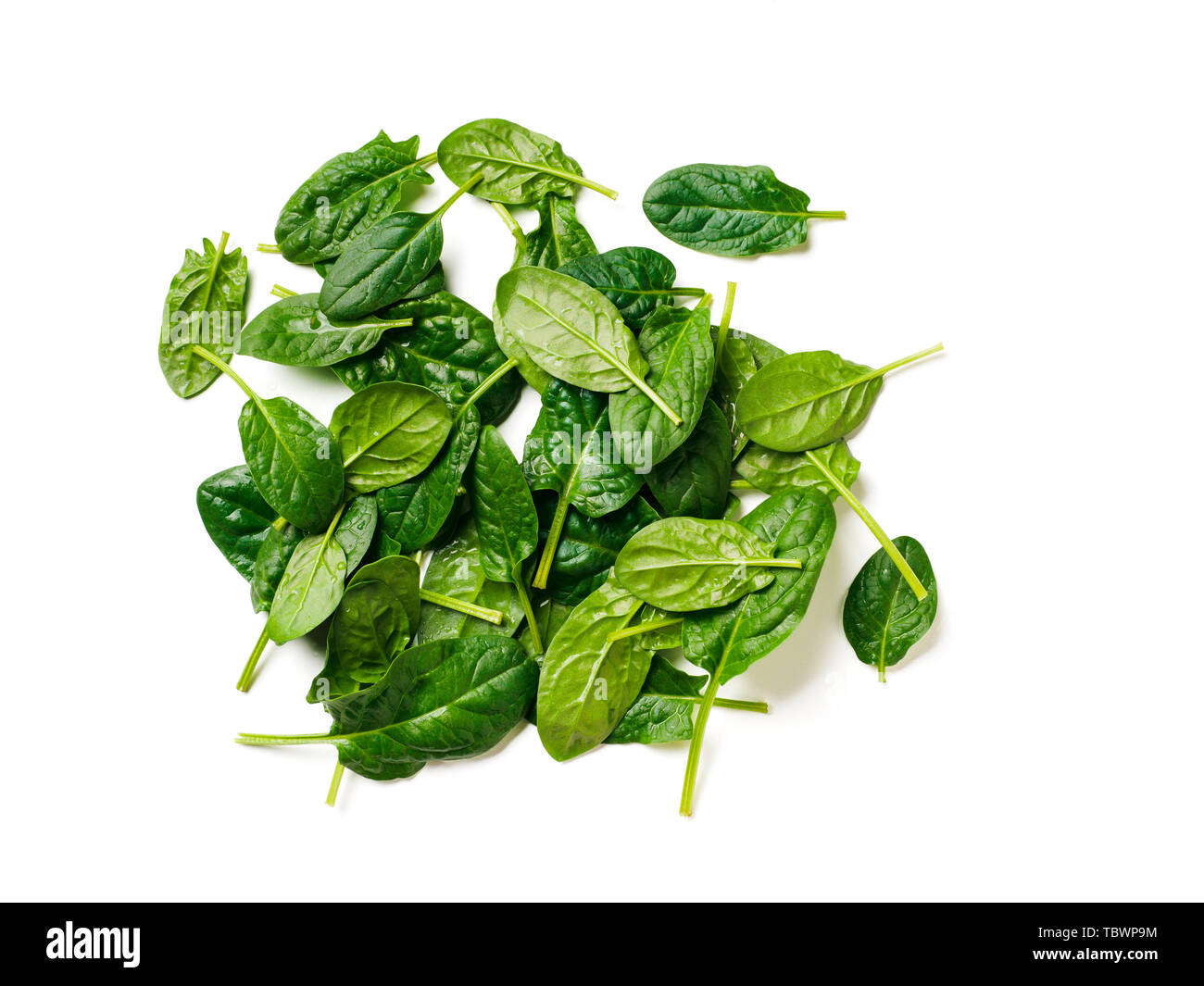 Cumulo di baby spinaci foglie. Fresco verde baby spinaci isolato su bianco con percorso di clipping. Vista superiore o laici piatta Foto Stock