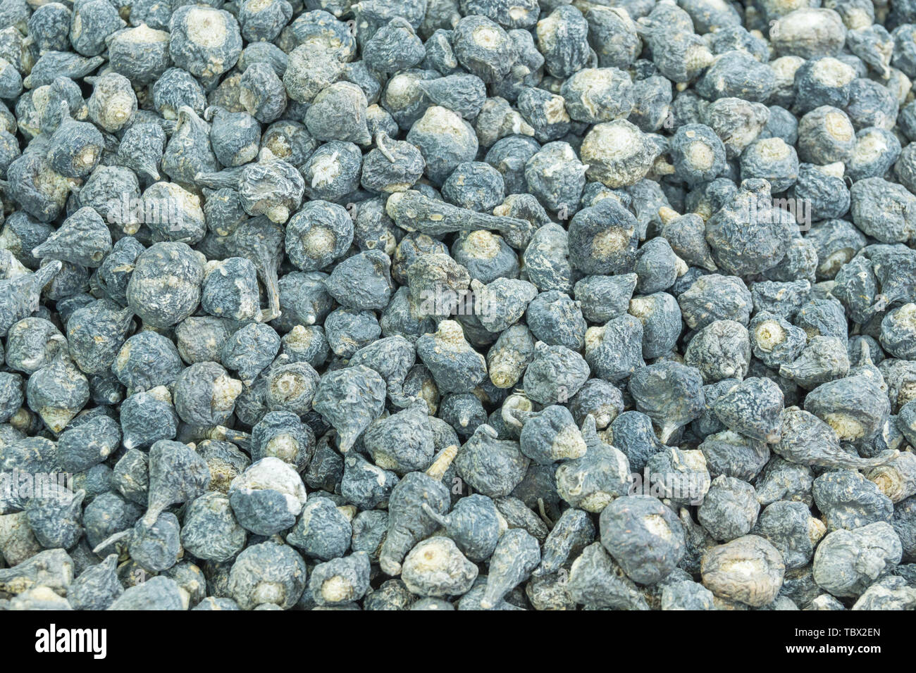 Un mazzetto di peruviana maca nero. Foto Stock