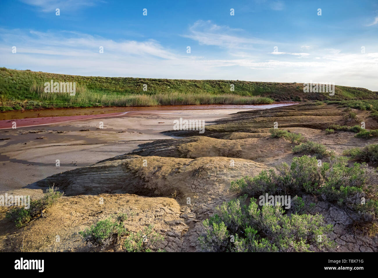 Vista di un piccolo rosso fiume di acqua ricca di ferro nella steppa bello Foto Stock