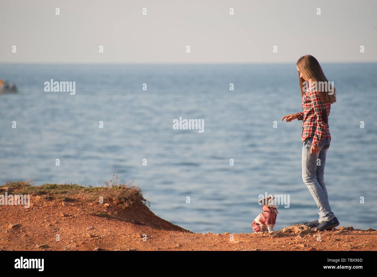Attivo giovane e bella ragazza in plaid shirt e jeans obbedienza formazione il suo chihuahua cane sulla riva del mare durante il tempo libero attività estive Foto Stock