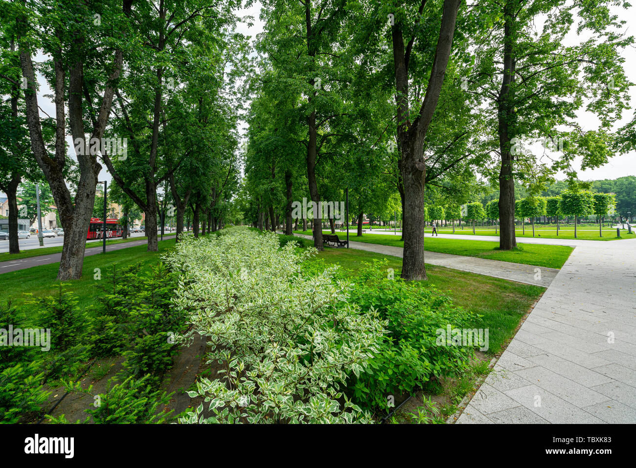 Vilnius, Lituania. Maggio 2019. Una vista del parco di Piazza Lukiskes Foto Stock