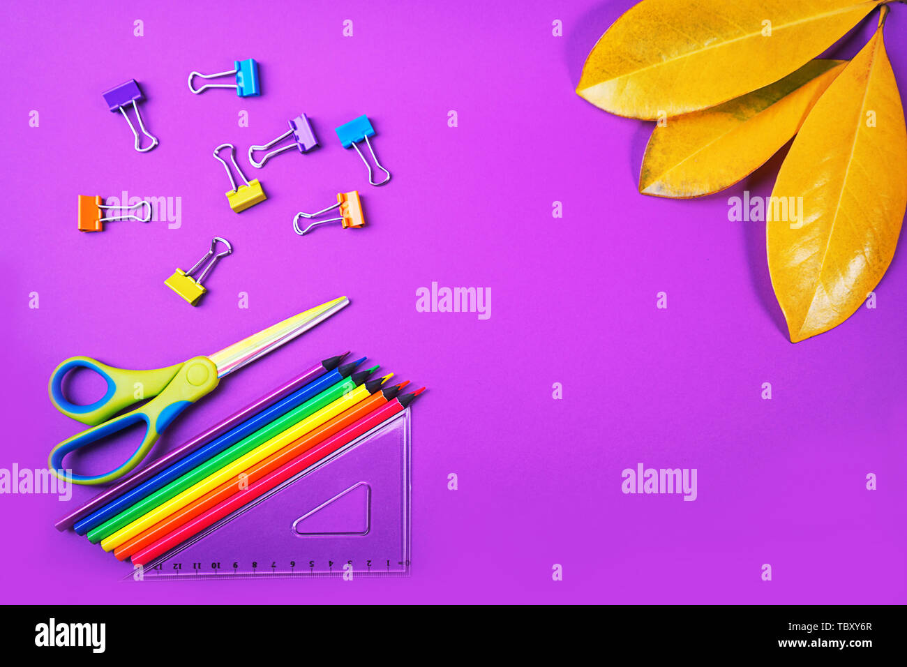 Si torna a scuola con uno sfondo con matite colorate, quadrata righello, forbici e colorati di fermagli per carta giallo e foglie di autunno su uno sfondo di colore viola. Piatto, laici t Foto Stock