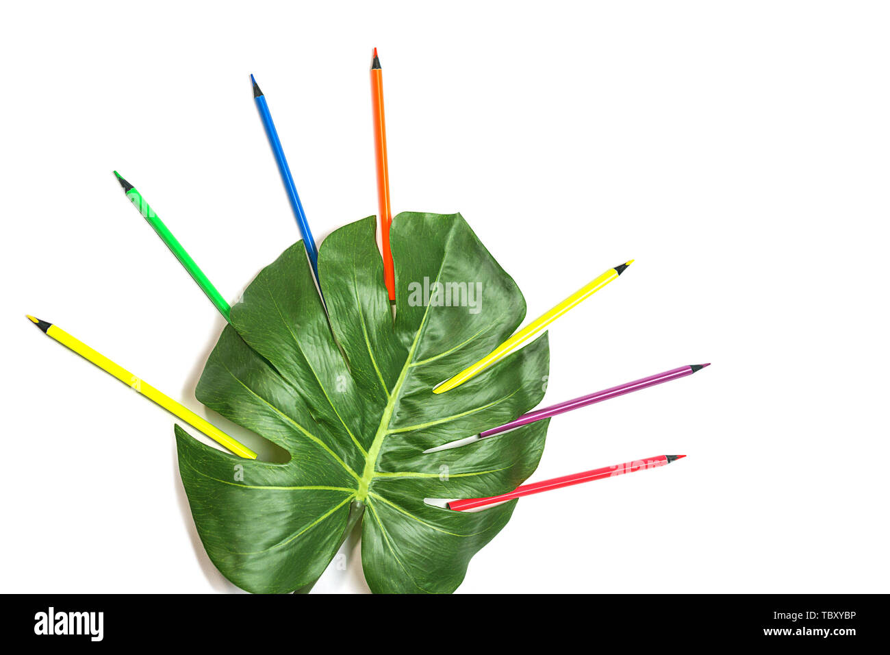 Torna a scuola con sfondo colorato colori al neon matite, verde foglia di monstera su sfondo bianco, isolata. Appartamento laico, vista dall'alto, copia dello spazio. Foto Stock
