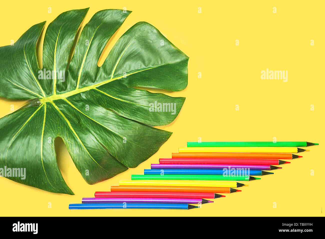 Torna a scuola con sfondo verde foglia di monstera, luci al neon colorate matite pastello su sfondo giallo. Foto Stock