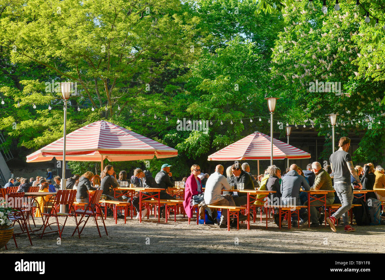 Biergarten Prater, castagno avenue, Prenzlauer montagna, Pankow, Berlino, Germania, Prater Biergarten, Kastanienallee, Prenzlauer Berg, Deutschland Foto Stock