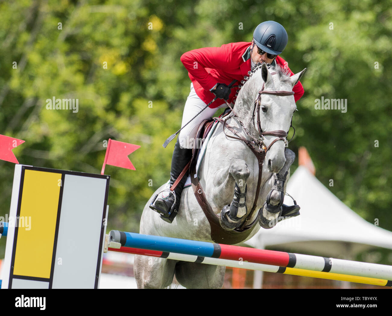 Langley, British Columbia, CAN. 2 Giugno, 2019. FRANCISCO PASQUEL (MEX) rides CORONADO nel LONGINES FEI Jumping unite CupÂª del Canada a Thunderbird mostra Park il 2 giugno 2019 a Langley BC Canada. Credito: Cara Grimshaw/ZUMA filo/Alamy Live News Foto Stock