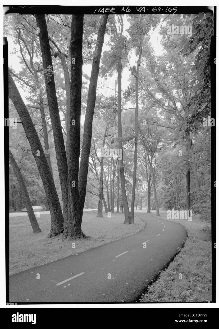 MULTIUSE sentiero vicino a 7 mile marker guardando a Nord. George Washington Memorial Parkway, lungo il fiume Potomac da McLean a Mount Vernon, VA, Mount Vernon, Fairfax County, VA Mount Vernon Avenue Associazione U.S. Esercito di ingegneri U.S. Ufficio di presidenza di strade pubbliche Clarke, Gilmore Downer, Jay Toms, R E Johnson, J W Simonson, Wilbur McNary, J V Barton, Clara Mount Vernon Ladies Associazione Garden Club of America le Figlie della Rivoluzione Americana Regno Figlie della Confederazione Colonial Dames of America Associazione per la preservazione delle antichità della Virginia McMillan Commissione Gould, Jay Mer Foto Stock