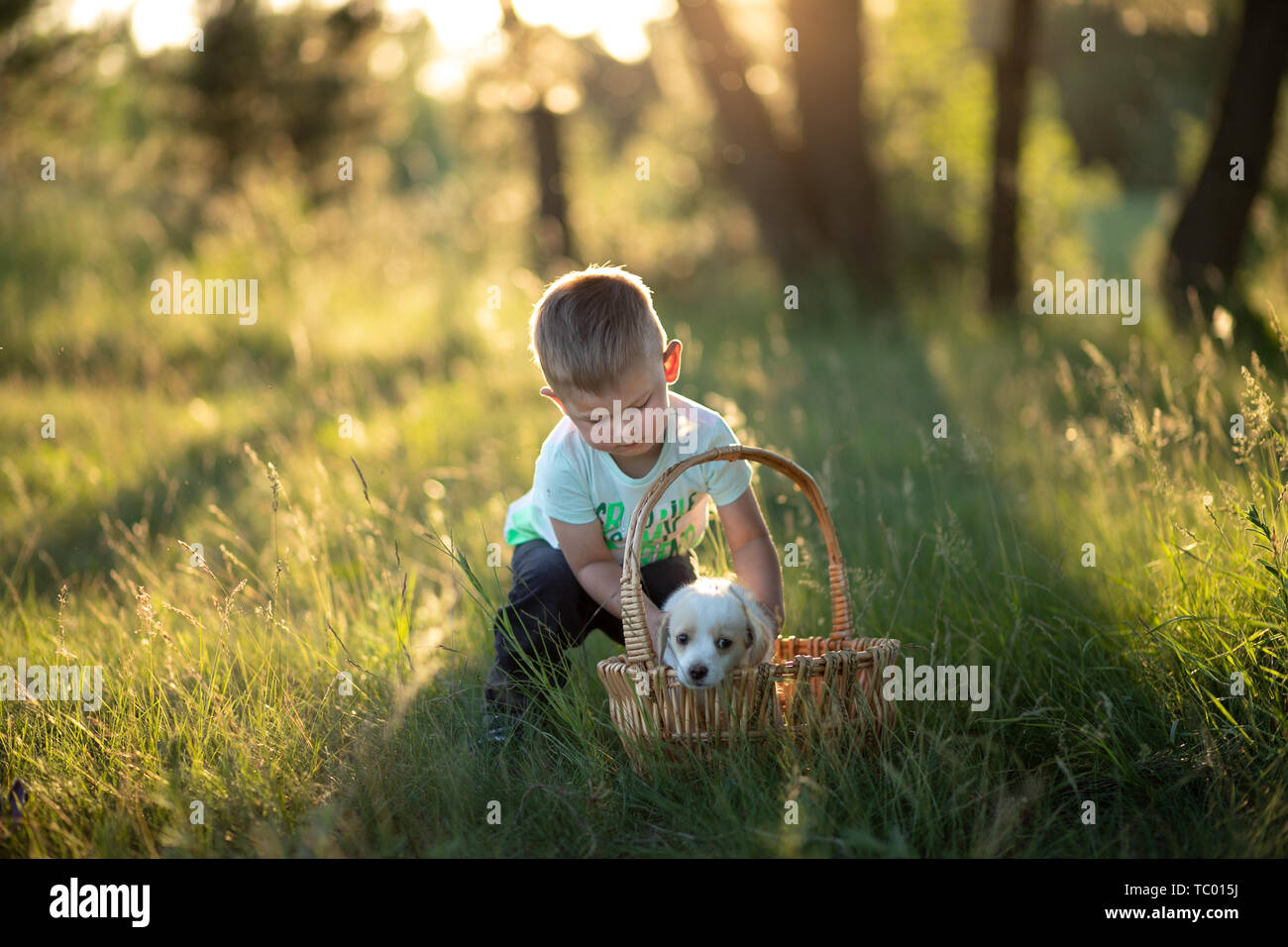 Little baby boy mette un grazioso cucciolo in un cesto di vimini al tramonto nella foresta. Il concetto di amicizia, la felicità, la gioia e l'infanzia. Foto Stock