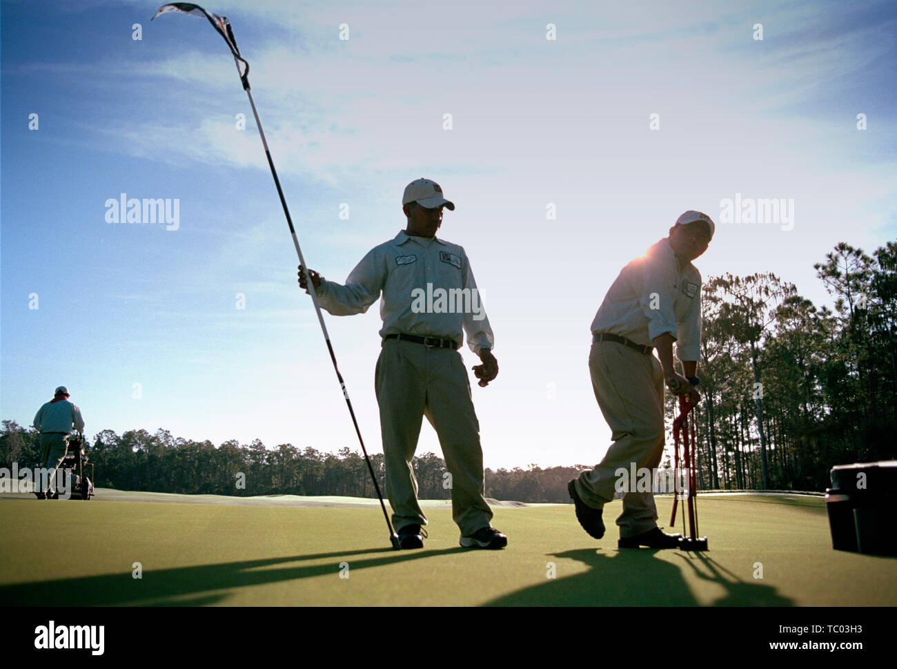 Tre groundsmen tendente al campo da golf di sunrise. Foto Stock