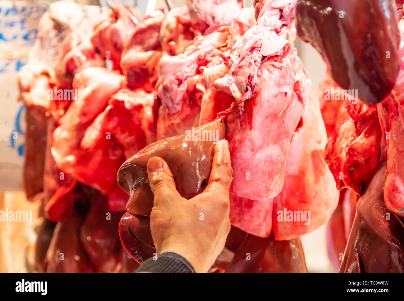 Fegato fresco di agnello, pecora, maiale manzo impiccato su ganci. Macelleria mano mostra il prodotto e la sua qualità. Le frattaglie non cotte per lo sfondo, closeup. Foto Stock