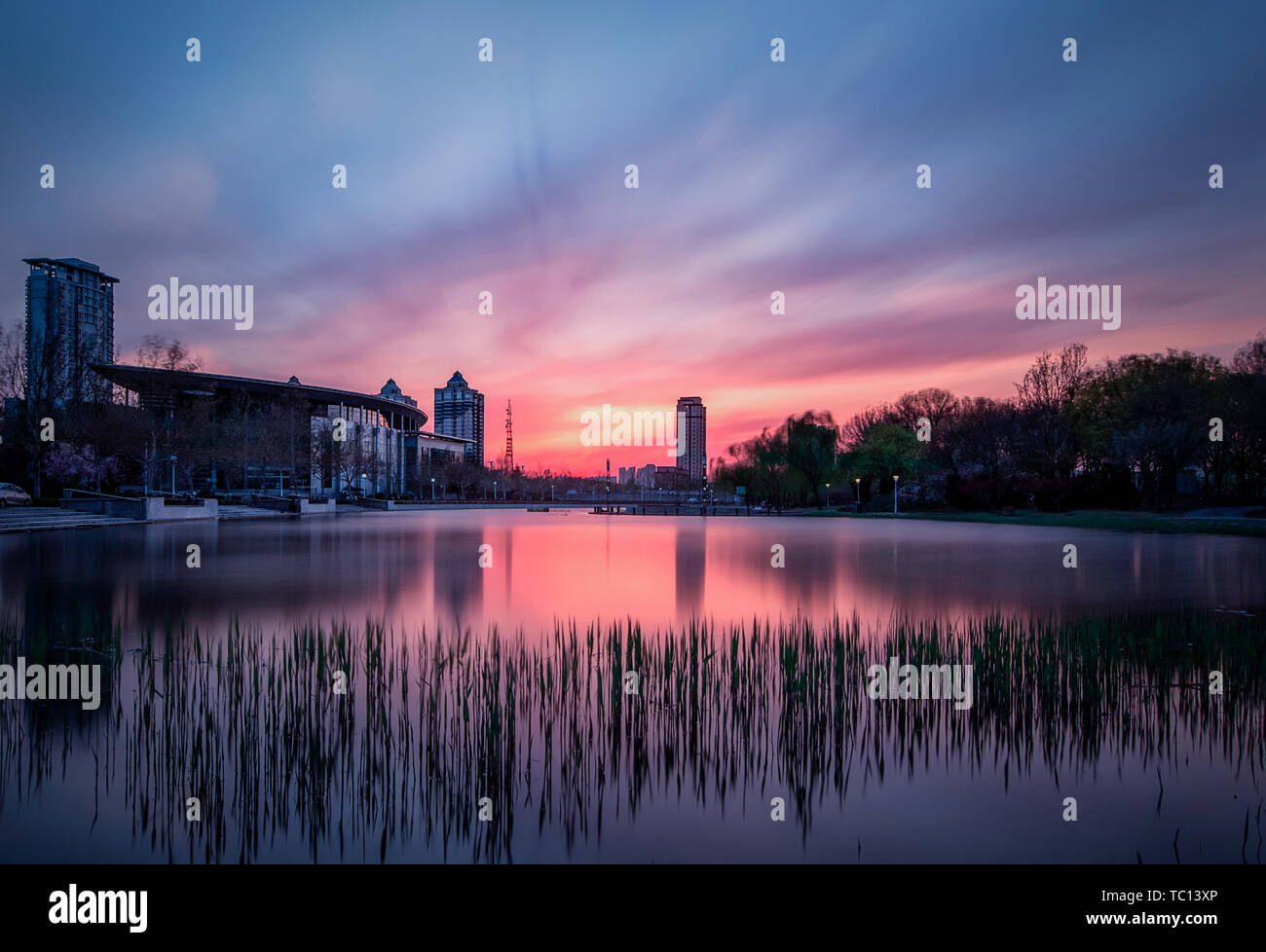 Tianjin Binhai nuova area per lo sviluppo della zona Tai Feng Park Foto Stock