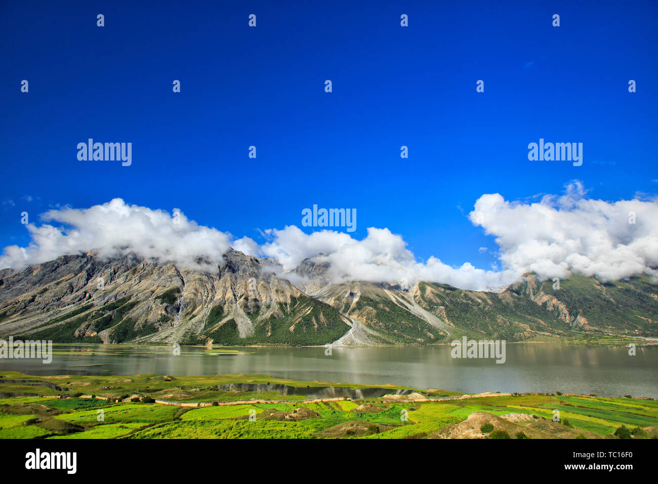 Fotografato nel lago Yanwu, Contea Bomi, regione autonoma del Tibet Foto Stock