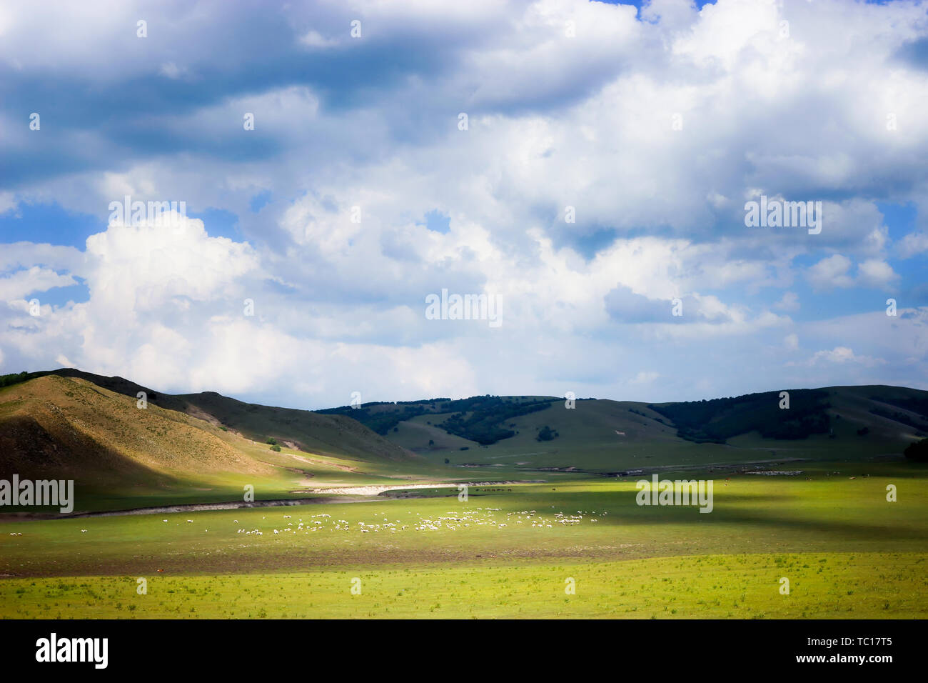 È tutto il paesaggio che vedo in alcuni luoghi i go e così via. Foto Stock